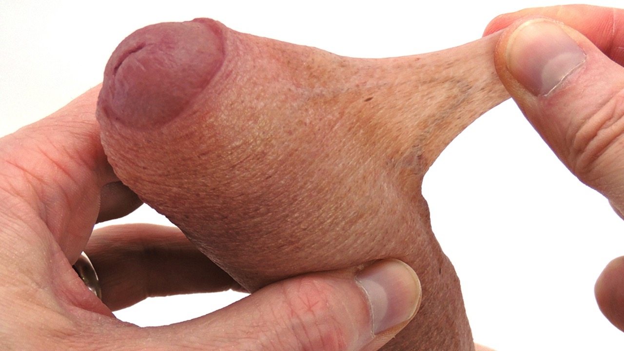 Small penis strap on prosthetic penis