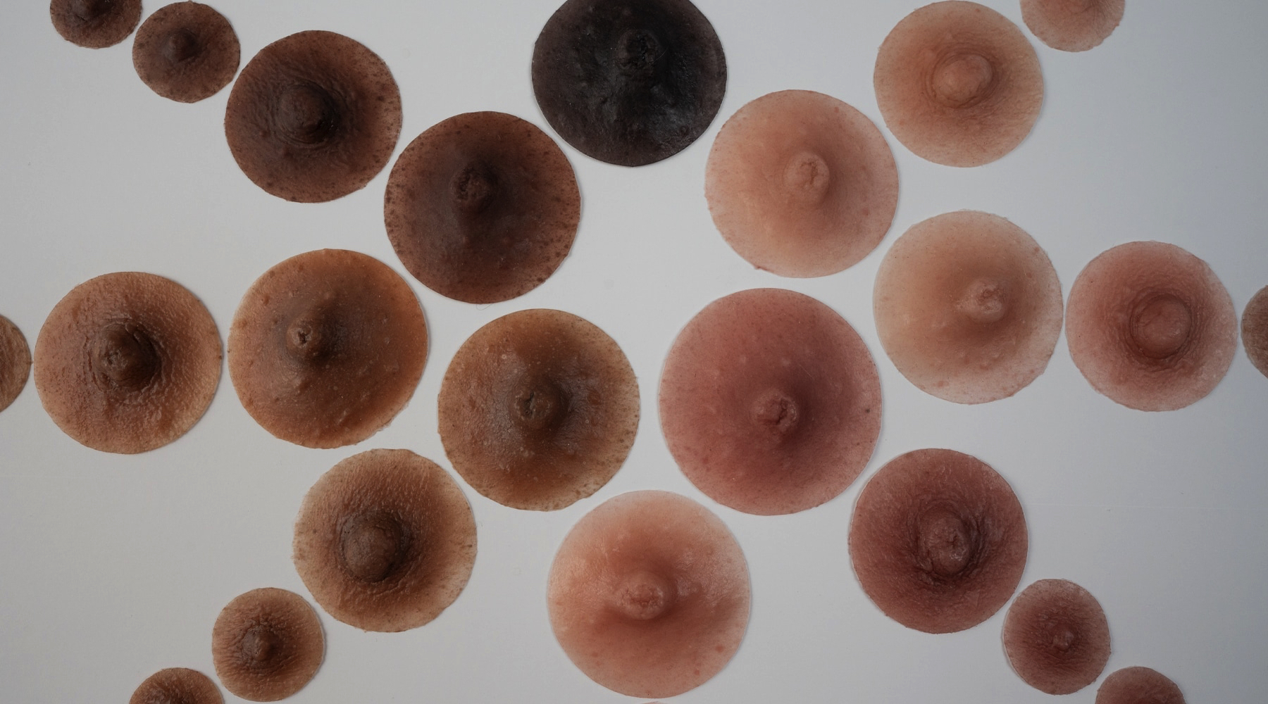 An array of nipples in multiple sizes and colors